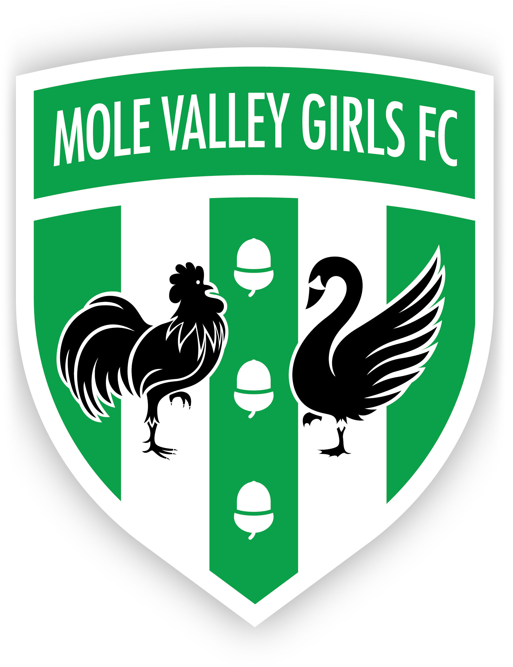 Mole Valley Girls FC